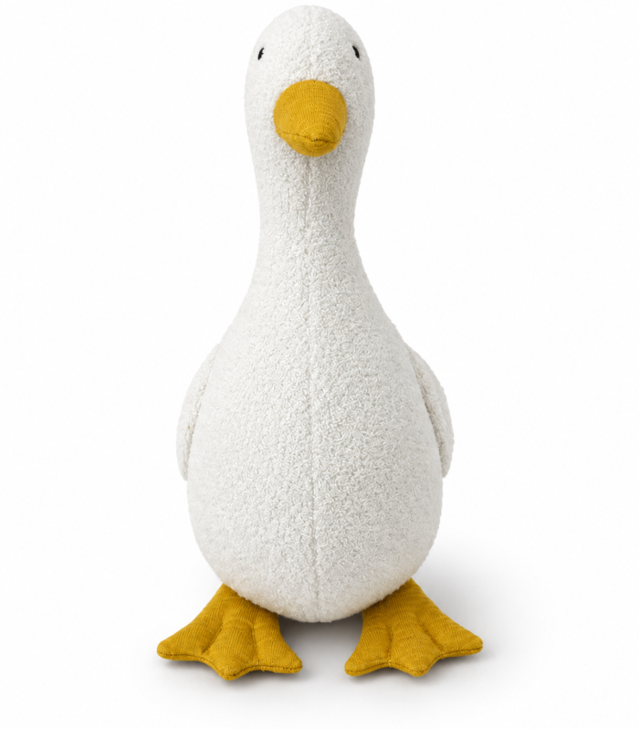 Duck Toy