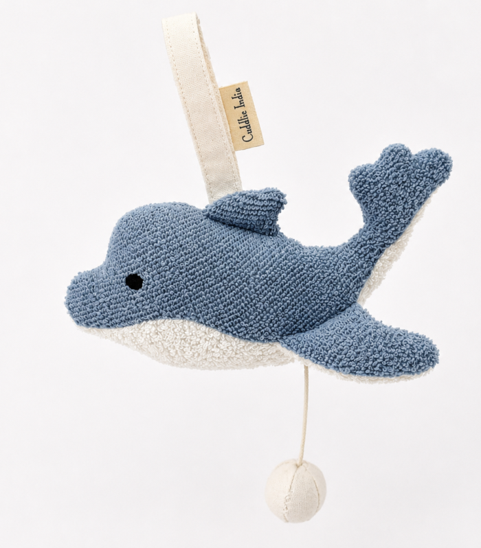 Fish Musical Toy